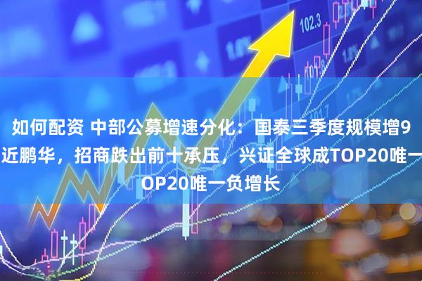 如何配资 中部公募增速分化：国泰三季度规模增968亿逼近鹏华，招商跌出前十承压，兴证全球成TOP20唯一负增长